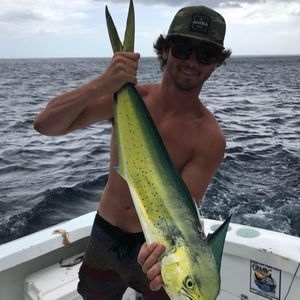 Meet your Posher, Evan